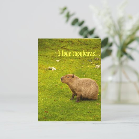 I Liebe Capybaras Postkarte (Stehend Vorderseite)