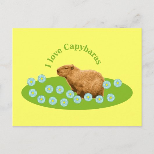 I Liebe Capybaras Postkarte (Vorderseite)