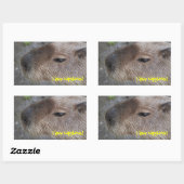 I Liebe Capybaras Rechteckiger Aufkleber (Blatt)