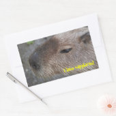 I Liebe Capybaras Rechteckiger Aufkleber (Umschlag)
