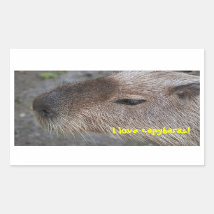 I Liebe Capybaras Rechteckiger Aufkleber