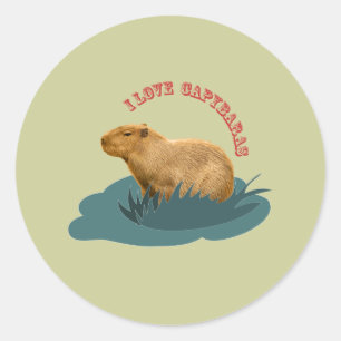 I Liebe Capybaras Runder Aufkleber