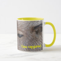 I Liebe Capybaras