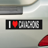 I Liebe Cavachons Autoaufkleber (Auf Auto)