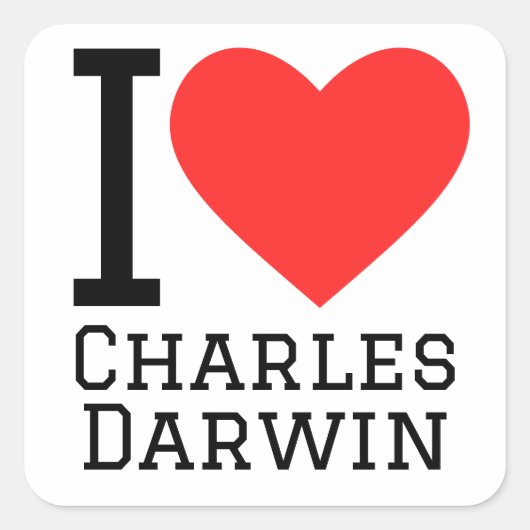 I Liebe Charles darwin Quadratischer Aufkleber (Vorderseite)