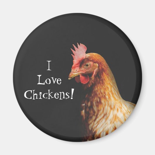 I Liebe Chickens Magnet (Vorne)