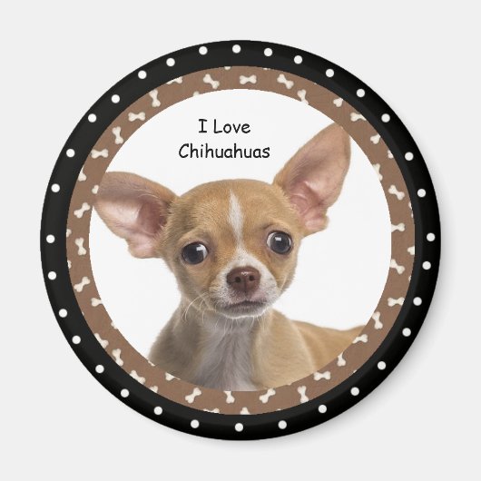 I Liebe Chihuahuas 2 Magnet (Vorne)