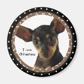 I Liebe Chihuahuas Magnet (Vorne)