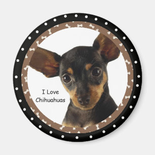 I Liebe Chihuahuas Magnet