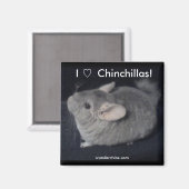 I Liebe Chinchillas Magnet (Vorderseite/Rückseite)