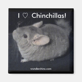 I Liebe Chinchillas Magnet