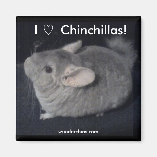 I Liebe Chinchillas Magnet (Vorne)