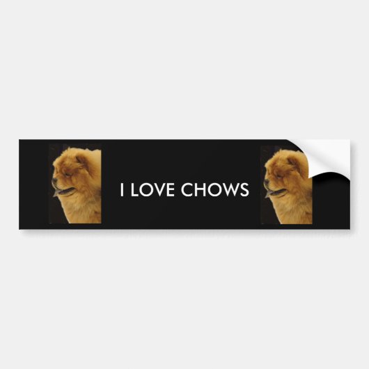 I LIEBE-CHOW-CHOWE AUTOAUFKLEBER (Vorne)