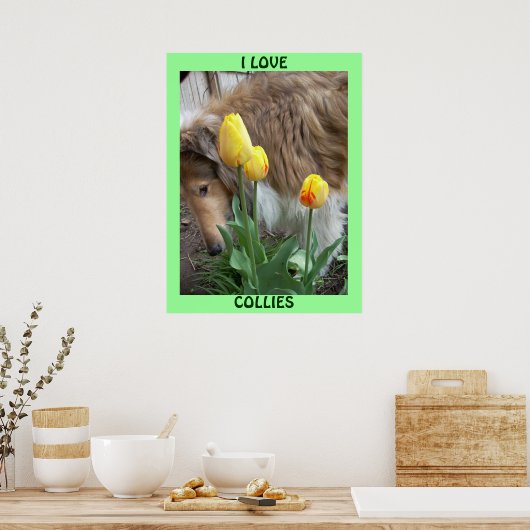 I LIEBE COLLIESE POSTER (Küche)