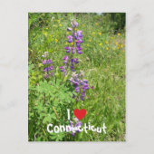 I Liebe Connecticut Postkarte (Vorderseite)