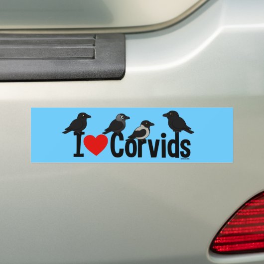 I Liebe Corvids Autoaufkleber (Auf Auto)