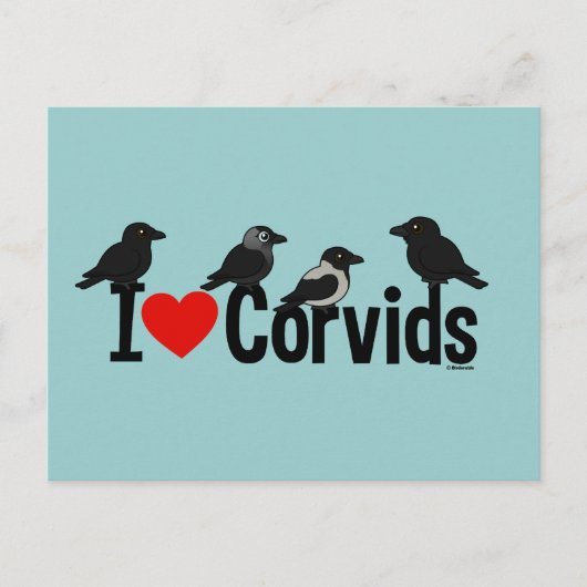 I Liebe Corvids Postkarte (Vorderseite)