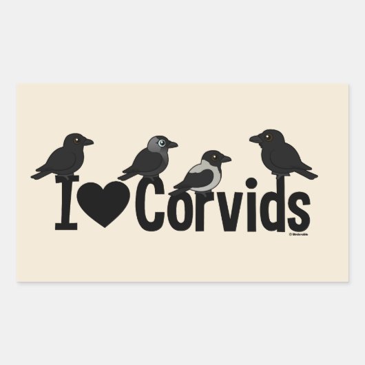 I Liebe Corvids Rechteckiger Aufkleber (Vorderseite)