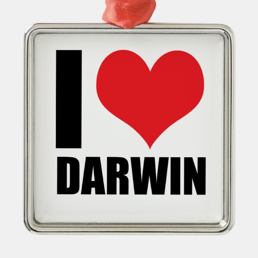 I Liebe Darwin Ornament Aus Metall (Vorne)