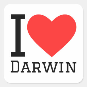 I Liebe Darwin Quadratischer Aufkleber