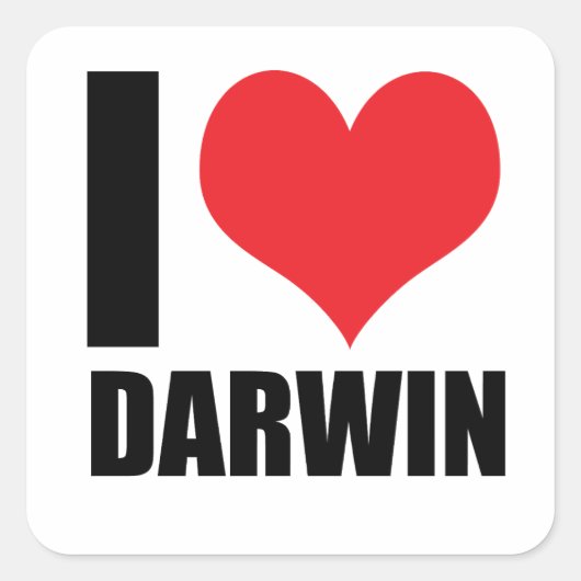 I Liebe Darwin Quadratischer Aufkleber (Vorderseite)