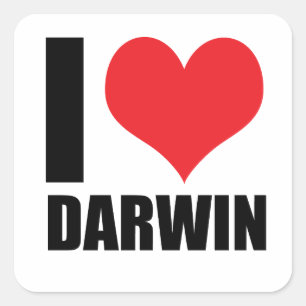 I Liebe Darwin Quadratischer Aufkleber