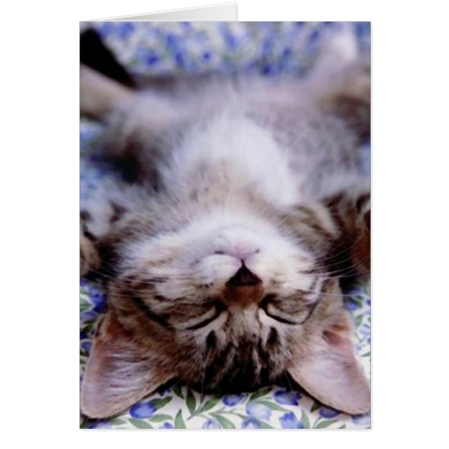 I Liebe, dass du eine Grafikkarte hast (Vorne)