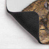 I Liebe Degu Piles Mousepad (Ecke)