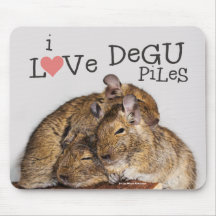 I Liebe Degu Piles