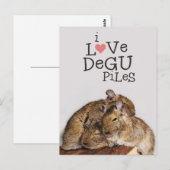 I Liebe Degu Piles Postkarte (Vorne/Hinten)