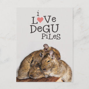 I Liebe Degu Piles Postkarte