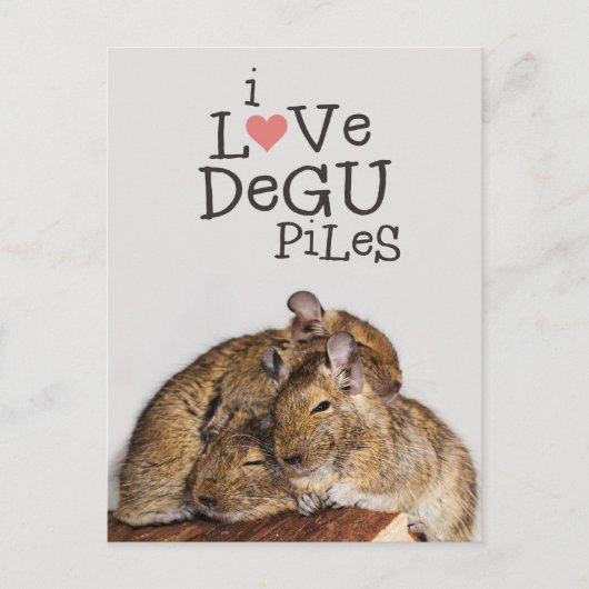 I Liebe Degu Piles Postkarte (Vorderseite)
