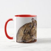 I Liebe Degu Stapel Tasse (Links)