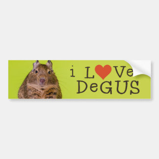 I Liebe Degus Autoaufkleber