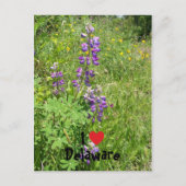 I Liebe Delaware Postkarte (Vorderseite)