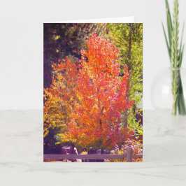 I Liebe der Herbstkarte Feiertagskarte
