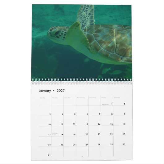 I Liebe der karibische Kalender (Jan 2027)