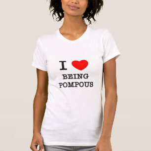 I Liebe, die bombastisch ist T-Shirt