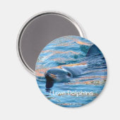 I Liebe Dolphins Magnet (Vorderseite/Rückseite)