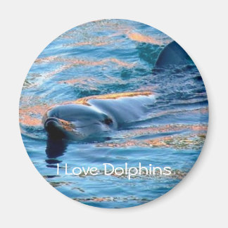 I Liebe Dolphins Magnet