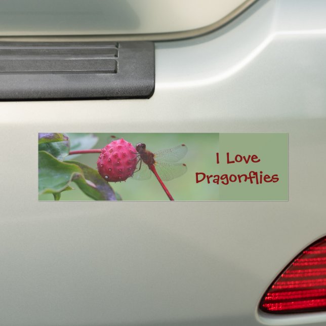 I Liebe Dragonflies Natur Autoaufkleber (Auf Auto)