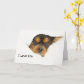 I Liebe, du König Charles Spaniel pinkelt raus Karte (Gelbe Blume)