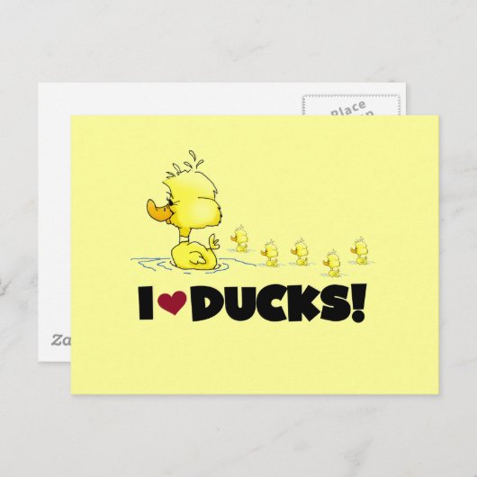 I Liebe Ducks Tshirts und Geschenke Postkarte (Vorne/Hinten)
