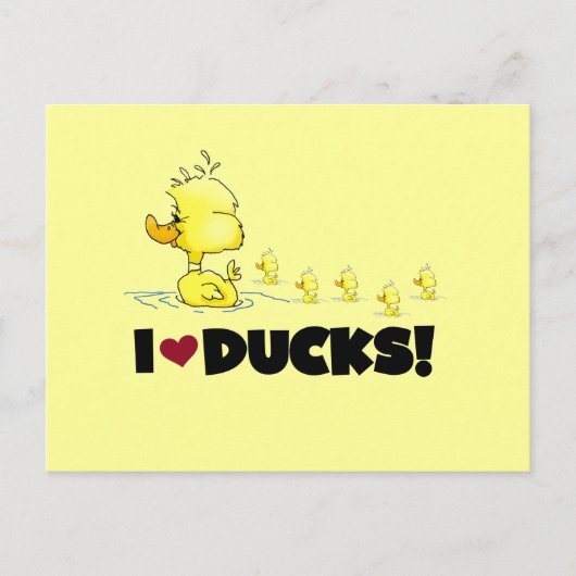 I Liebe Ducks Tshirts und Geschenke Postkarte (Vorderseite)