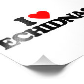 I LIEBE ECHIDNAS FOTODRUCK (Ecke)