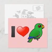 I Liebe Eclectus parrots (männlich) Postkarte (Vorne/Hinten)