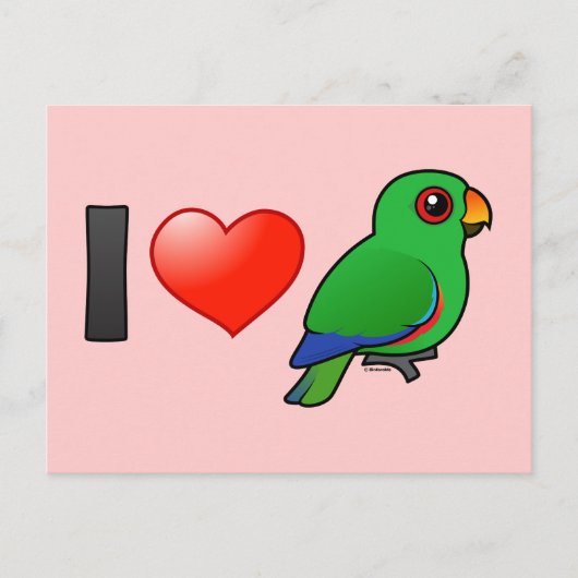 I Liebe Eclectus parrots (männlich) Postkarte (Vorderseite)
