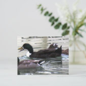 I Liebe Encks Postkarte (Stehend Vorderseite)