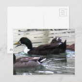 I Liebe Encks Postkarte (Vorne/Hinten)