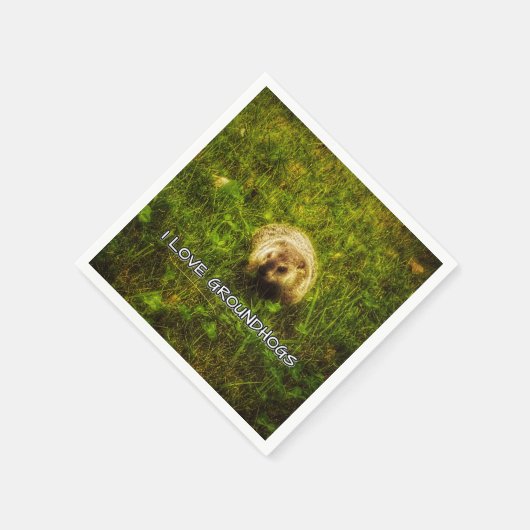 I Liebe Erdhaken Servietten (Ecke)